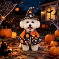 thumbnail image 7 of Aoznliie Dog Clothes Set, Halloween Pet Cloak with Hat for Party Apparel, 6x4 inch Adjustable Costume for Cats Dogs, Black M, 7 of 7