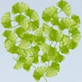 thumbnail image 2 of CafePress - Ginkgo Leaf Heart Long Sleeve Infant T Shirt - Long Sleeve Infant T-Shirt, 2 of 2