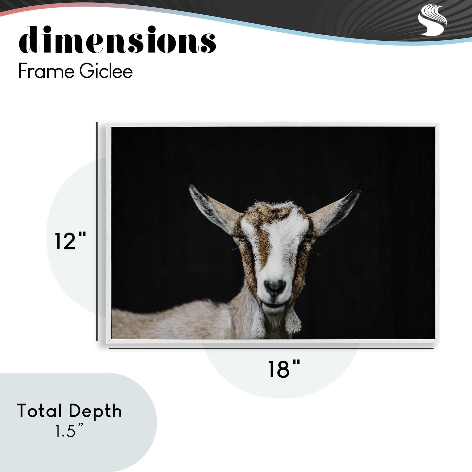 Goat Face over Black White Framed Giclee Art, design by Amy Carroll