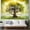 5.9x3.6FT, variant on Family Reunion Backdrop Family Roots Run Deep Photography Background with Green Family Tree Leaves Our Love Runs Deeper Gathering Party Decorations Banner Family Members Home Party Photo Props