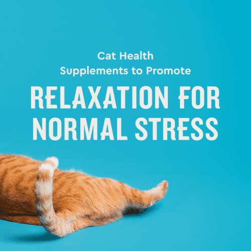 Vet IQ Calming Health Supplement for Cats, Chicken Flavored Crunchy Chews, Approx. 30 Day Supply
