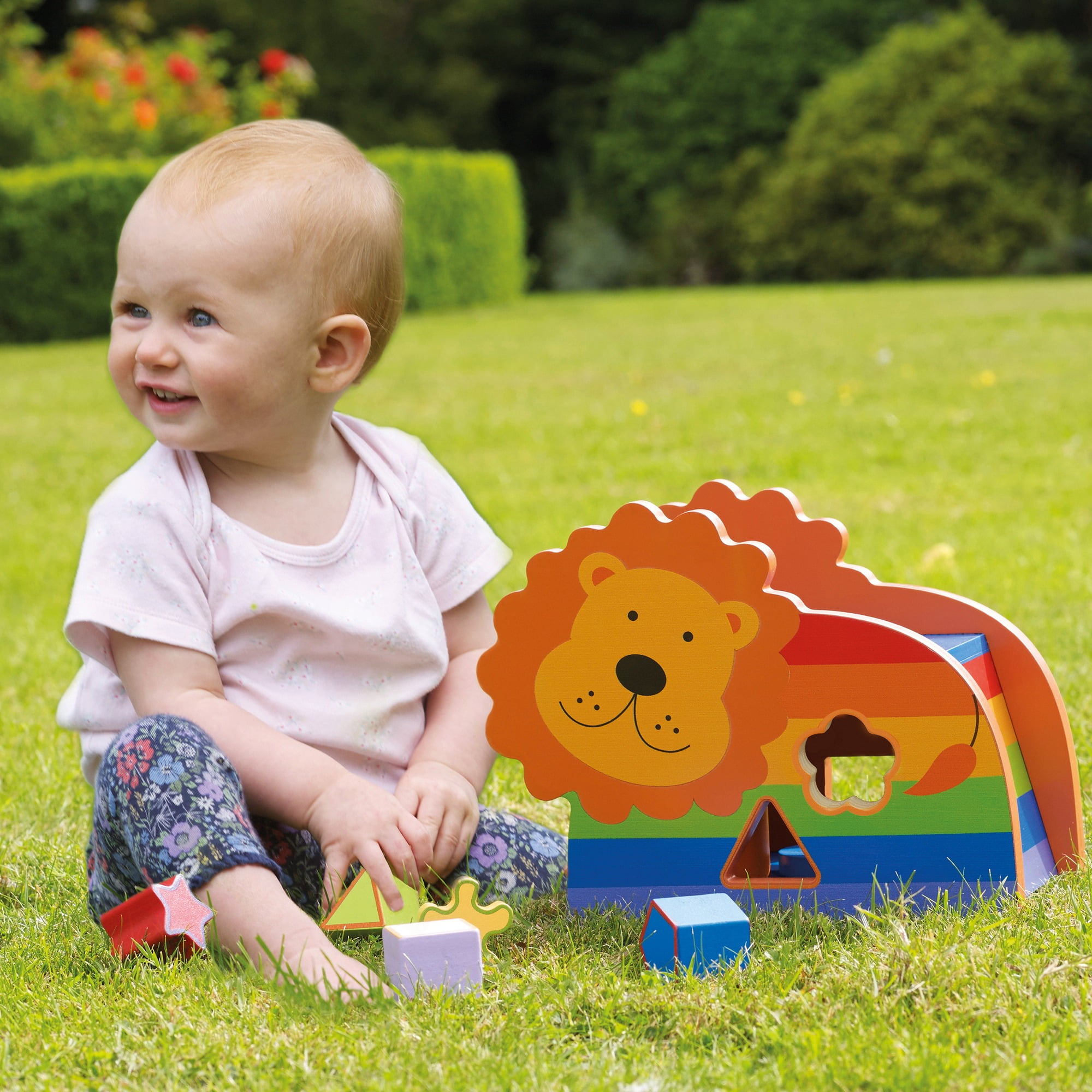Orange Tree Toys: Shape Sorter: Lion - Wooden Wheeled Animal Sorter, 6 Shape Blocks, Push-Pull-Sort, Colorful Educational Toy, Toddler & Kids Age 1+