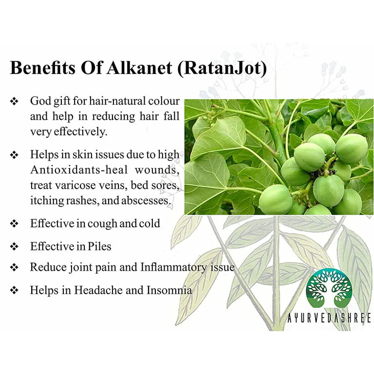 HerbsLand Ratanjot Leaves Powder - Alkanna Tinctoria - Alkanet