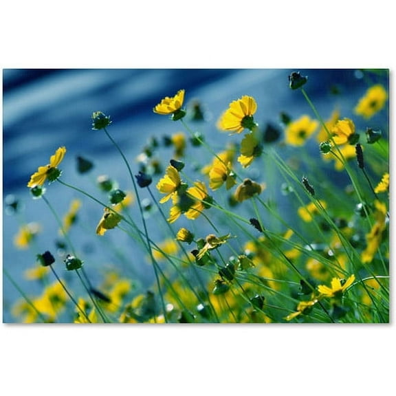 Trademark Fine Art Beata Czyzowska Young Power in Flower Canvas Wall Art - 12x19