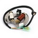 thumbnail image 3 of Estator generador apto para Yamaha Blaster 200 YFS200 2003 2004 2005 2006 2007, 3 of 13