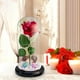 thumbnail image 1 of Rosa iluminada en cúpula de cristal BLESIY decoración del hogar Flor Artificial, 1 of 8