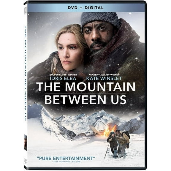 The Mountain Between Us (DVD)