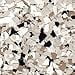 thumbnail image 2 of Decorative Epoxy Flake - 5 lbs (B-421), 2 of 4