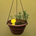 thumbnail image 7 of Ludlz Sticky Traps, 20Pcs Flying Gnat Catcher Insect Dual Sided Yellow Sticky Trap Indoor Outdoor , Gnat Killer for Fungus Gnat, Fruit Fly and Other Insects, Protect The Plant, 7 of 7