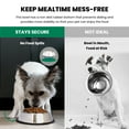 thumbnail image 6 of Iconic Pet - Stainless Steel Non-Skid Pet Bowl for Dog or Cat - 16 oz - 2 Cup, 6 of 10