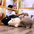 thumbnail image 4 of YOPTOP 20cm Simulation Mouse Plush Doll Soft Stuffed Rat Plush Animal Toy Children Gift,black, 4 of 7