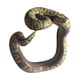 thumbnail image 2 of Juguetes portátiles CUTICAT Pulsera de serpiente de simulación, 2 of 5