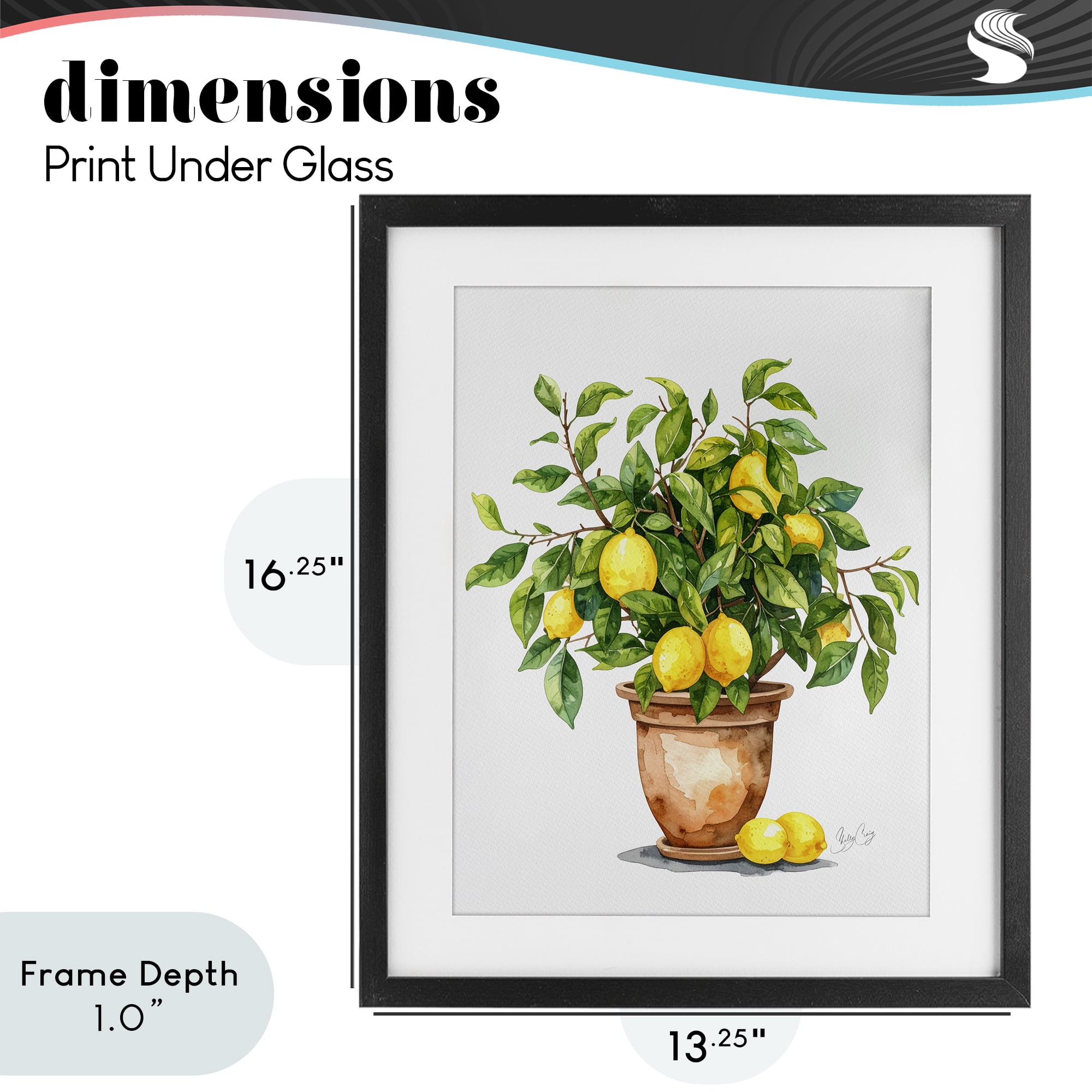 Stupell Industries Potted Lemon Tree Black Framed Print Under Glass, design by Shelly Craig
