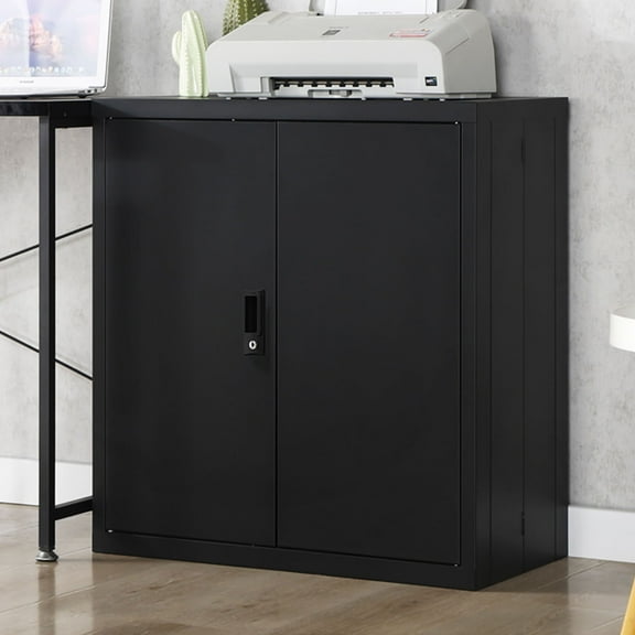 CQSXDA Organizer Storage Cabinet in Classic Black with Security Locks and Adjustable Shelves for Any Space
