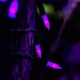 thumbnail image 6 of Morttic 16 ft 50 LED Christmas Lights, Battery Operated Mini String Lights, Waterproof Tree Lights with 8 Lighting Modes, Indoor Outdoor Patio Garden Party Wedding Christmas Decoration, Purple, 6 of 6