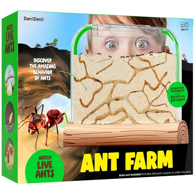 Ant Farm Kit Dan&Darci con Live Ants & Queen + Guía de aprendizaje