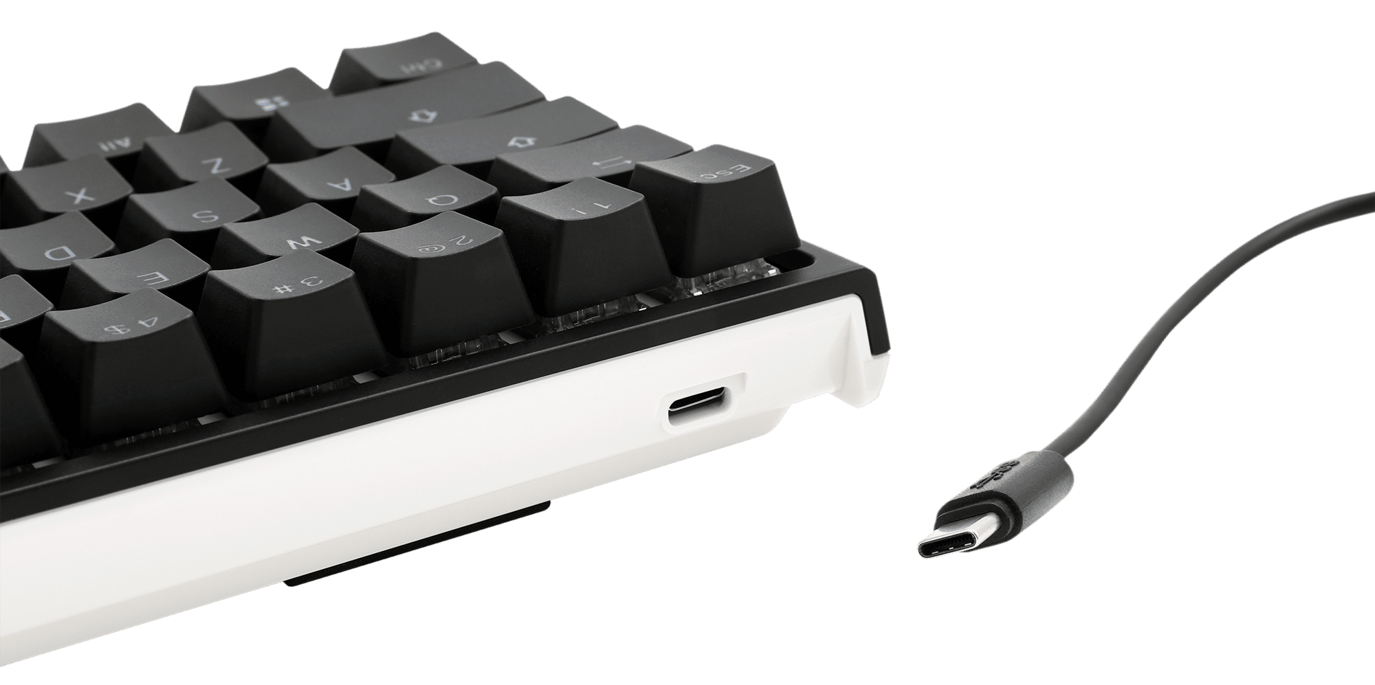 Ducky One 2 Mini Frozen Llama Limited Edition Keyboard Mx Brown Switch Walmart Com Walmart Com Ducky One 2 Mini Frozen Llama Limited Edition Keyboard Mx Brown Switch Walmart Com Walmart Com