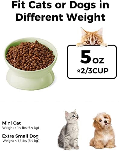 Elevated Cat Food Bowl, 5 Oz Ceramic Raised and Tilted Water Bowl, Anti Vomiting and Protect Pets' Spines Dishes for Small Dog, Fat Faced Cat, Kitten (Green, 1 Pack)