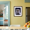 thumbnail image 4 of Domestic Cat, 7Week Fluffy Silver and White Kitten, Animals Framed Art Print Wall Art by Jane Burton Sold by Art.Com, 4 of 5