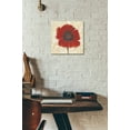 thumbnail image 6 of Epic Art 'Red Poppy Portrait II' by Tim O'Toole, Acrylic Glass Wall Art, 12"x12", 6 of 7