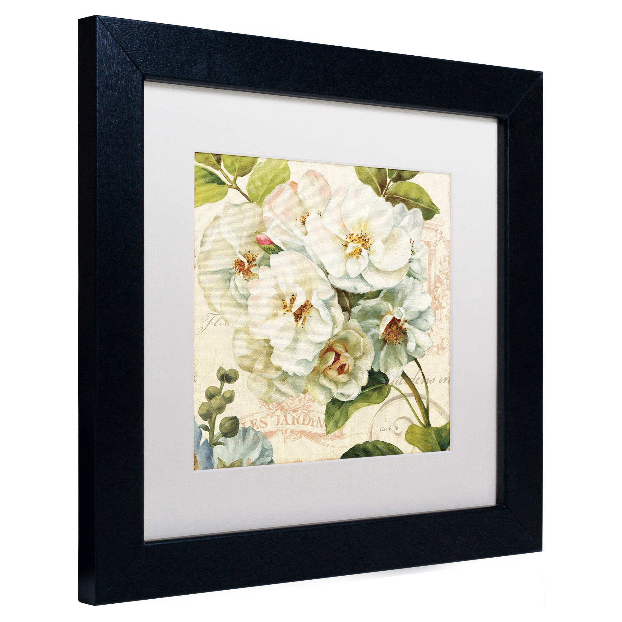 Trademark Fine Art "Les Jardin III" Canvas Art by Lisa Audit, White Matte, Black Frame
