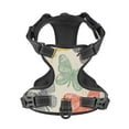 thumbnail image 4 of Gaeub Butterfly Gaeub Butterfly No Pull Dog Harness, Secure and Adjustable Pet Vest for Outdoor Activities - X-Large, 4 of 9