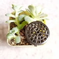 thumbnail image 4 of Cesta de fertilizante, uso multiusos, maceta para vivero de acuario, taza de nutrientes, material plástico duradero, tanque de fertilizante reutilizable para varios entornos de plantación, incluidas, 4 of 5