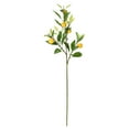 thumbnail image 3 of Lemon cuttings and artificial lemons Spring/summer green lemon cuttings Centerpiece interior/exterior farmhouse decor 35.04*12.59in(6 fruit), 3 of 15