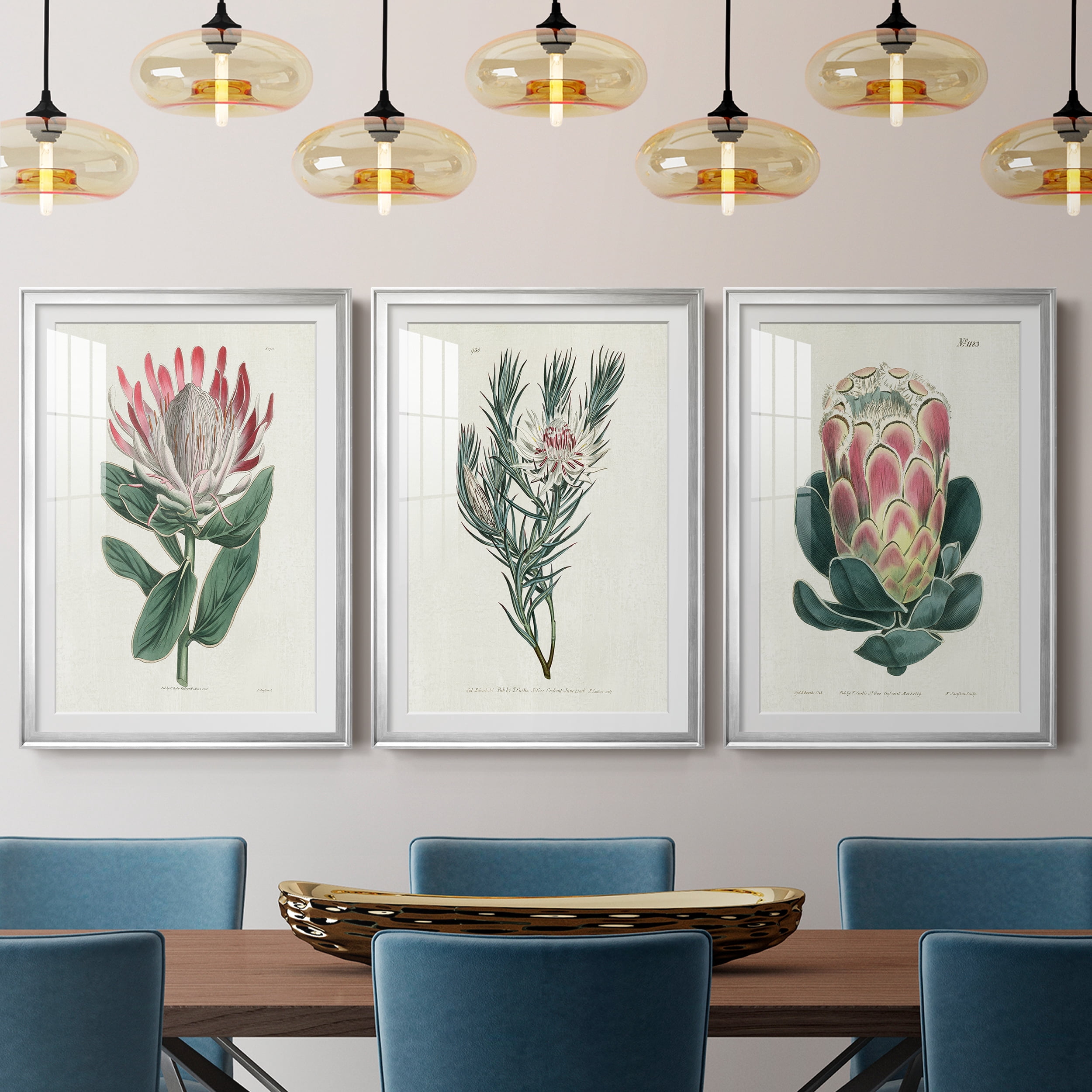 Protea N13 Premium Framed Prints Set of 3 - Ready to Hang - 26.5 x 36.5 Each - Silver Frame