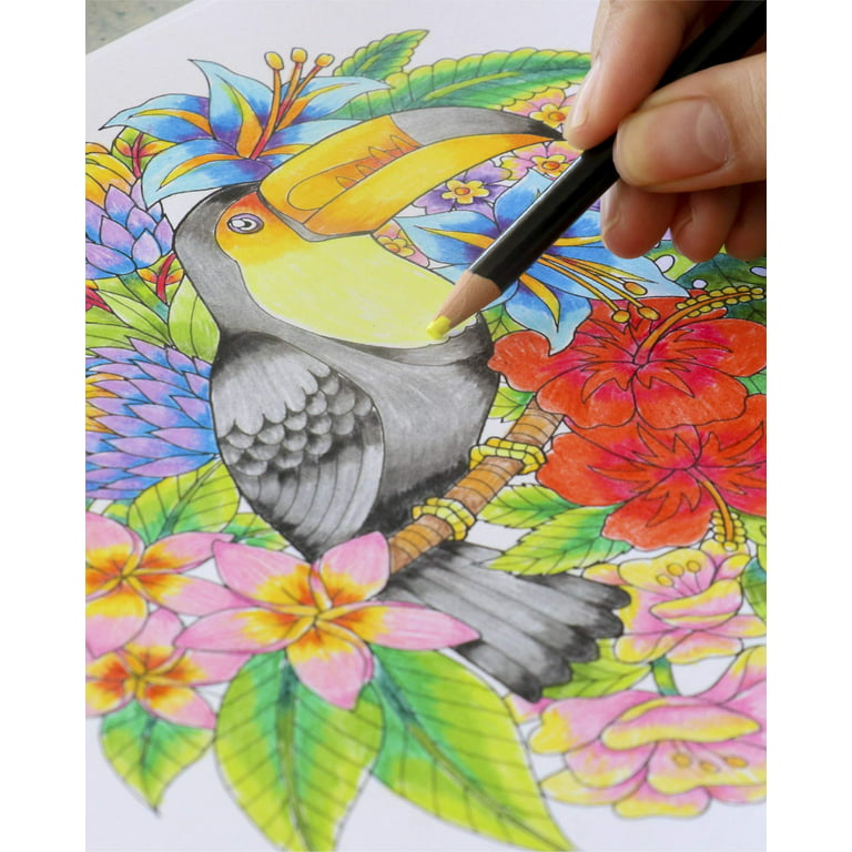 ColorIt Colorful Tropical Scenes Adult Coloring Book - 50 Single