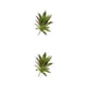 thumbnail image 3 of Billuyoard Suculentas artificiales respetuosas con la piel Belleza sin preocuparse por la irritación Planta artificial MM215 Otoño MM215 Otoño 2piezas, 3 of 6