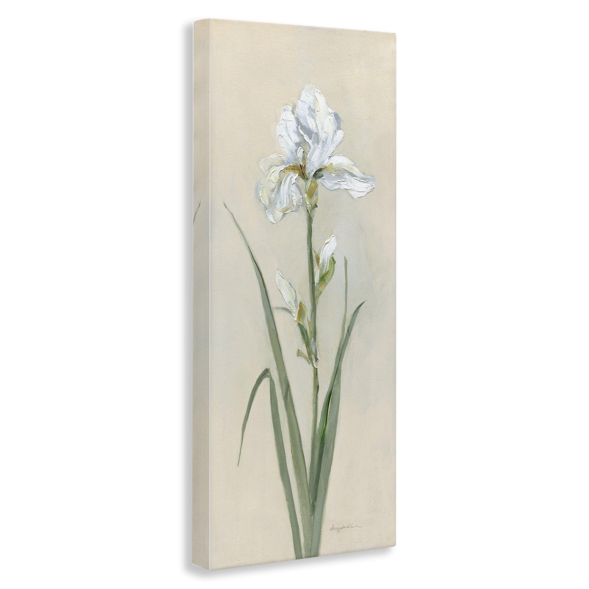 Stupell Industries White Iris on Beige Plants & Flowers Painting Wrapped Canvas Art Print Wall Art, 10 x 24