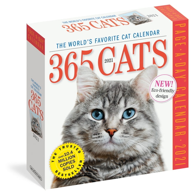 Cat Page A Day Calendar 2025