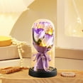 thumbnail image 5 of RyanK Valentine'S Day Gifts Eternal Rose Gifts For Women Birthday Gifts For Mom Light Up Rose In Glass Dome Eternal Rose Flower Gifts Mom Day Valentines Day Rose Gifts For Her, 5 of 6