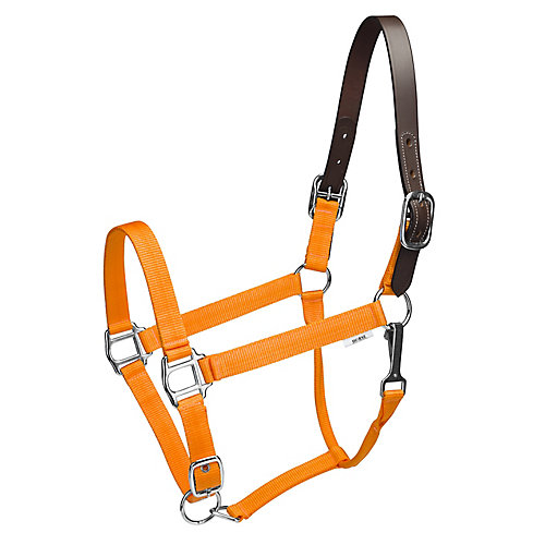 Tough 1 Miniature Nylon Break-Away Halter Tough 1 Miniature Nylon Break-Away Halter