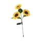 thumbnail image 1 of Luces solares de girasol, luces solares de flores, regalo de jardinería, luces solares de estaca de jardín de girasol para patio trasero al aire libre Girasol de 3 cabezas, 1 of 8