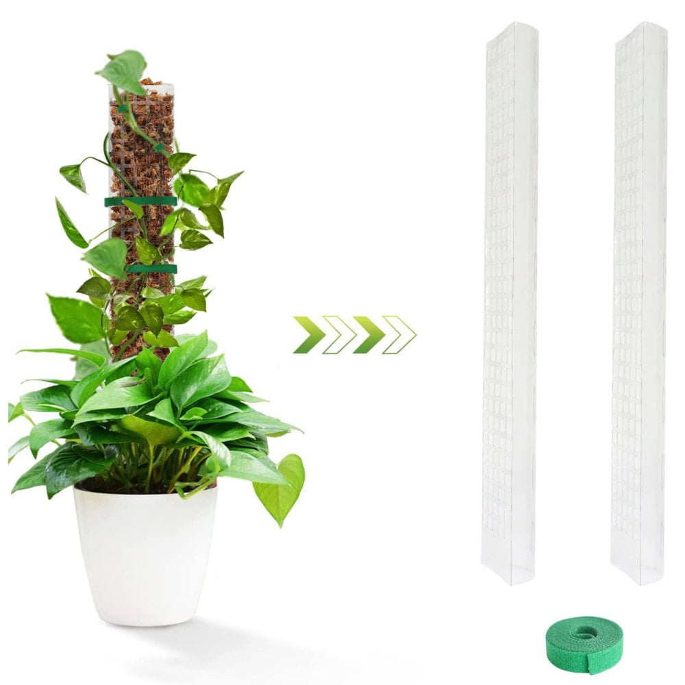 Semicircle Climbing Plants Pole Plants Supporting Stick Moss Pole for ...