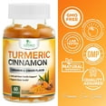 Turmeric Ginger Cinnamon Gummies Vegan Turmeric Curcumin Gummy with