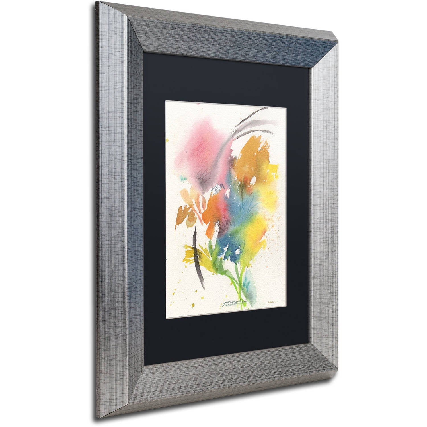 Trademark Fine Art "Rainbow Bouquet" Canvas Art by Sheila Golden, Black Matte, Silver Frame