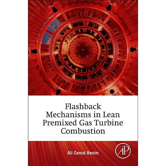 Flashback Mechanisms in Lean Premixed Gas Turbine Combustion, (Paperback)