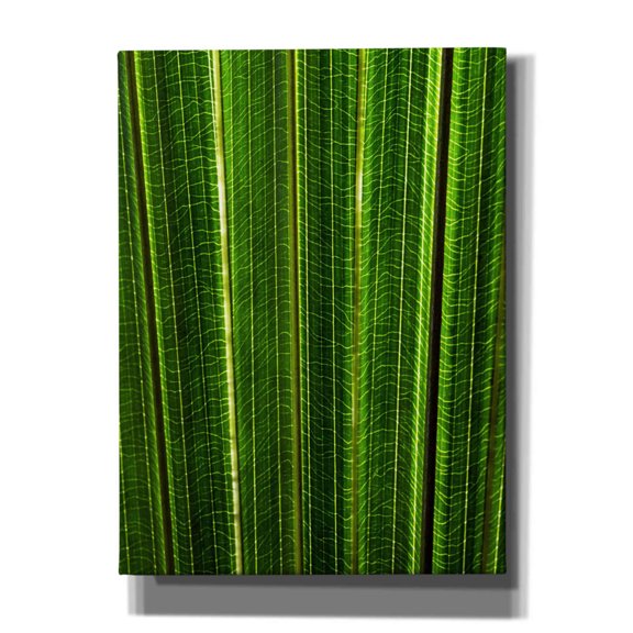 Epic Graffiti 'The Great Green Wall' by Epic Portfolio Giclee Canvas Wall Art, 40"x54"