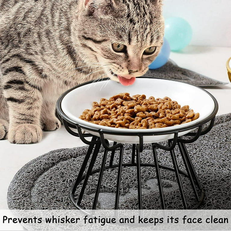 Kittylux Cat Food Bowls, Cat Bowls with Stand, Elevated Dog Bowls, Raised  Cat Bowls, Cat Food and Water Bowls, Elevated Cat Feeder, Cat Dishes for  Food and Water