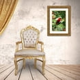 thumbnail image 3 of Love Grams 13x18 Gold Ornate Wood Framed with Double Matting Museum Art Print Titled - The Cardinal, 3 of 4