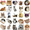 thumbnail image 1 of Pegatinas de gatos adorables para decorar maletas, guitarras y cuadernos, 1 of 8