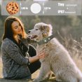 thumbnail image 3 of Collier pour Chien Réglable, Imperméable, Léger, Durable, Élégant pour Chien, Chat avec Fonction de Prévention des Pertes, 3 of 7