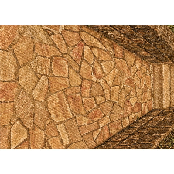 Ahgly Company Machine Washable Indoor Rectangle Transitional Mahogany Brown Area Rugs, 7' x 10'