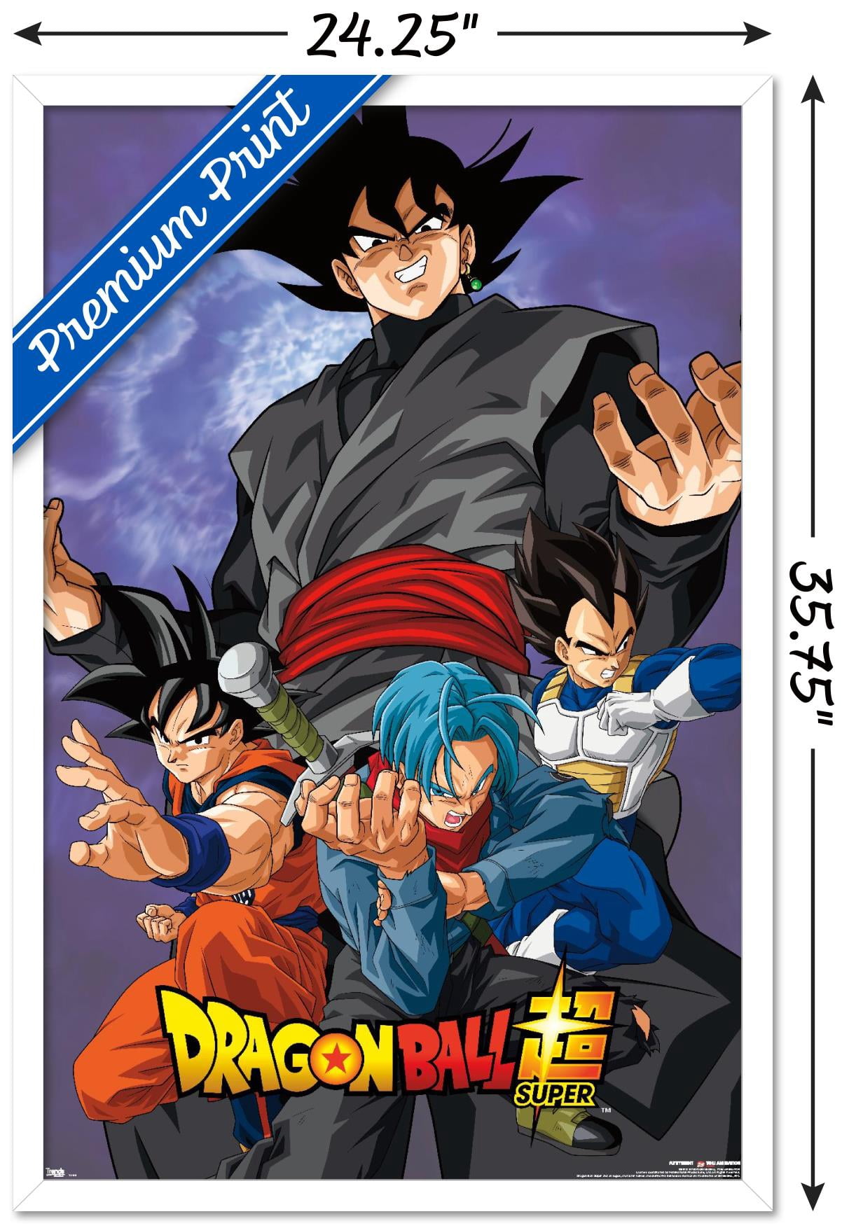 Dragon Ball: Super - Villain Wall Poster, 22.375" x 34", Framed