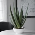 thumbnail image 3 of Uttermost Evarado Polyfoam Resin and Stone Aloe Planter in Glossy White, 3 of 3