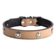 thumbnail image 1 of Correa ajustable para el cuello para perros y gatos con hebilla segura para entrenamiento, collar para mascotas de PU suave, color beige, talla L, 1 of 8