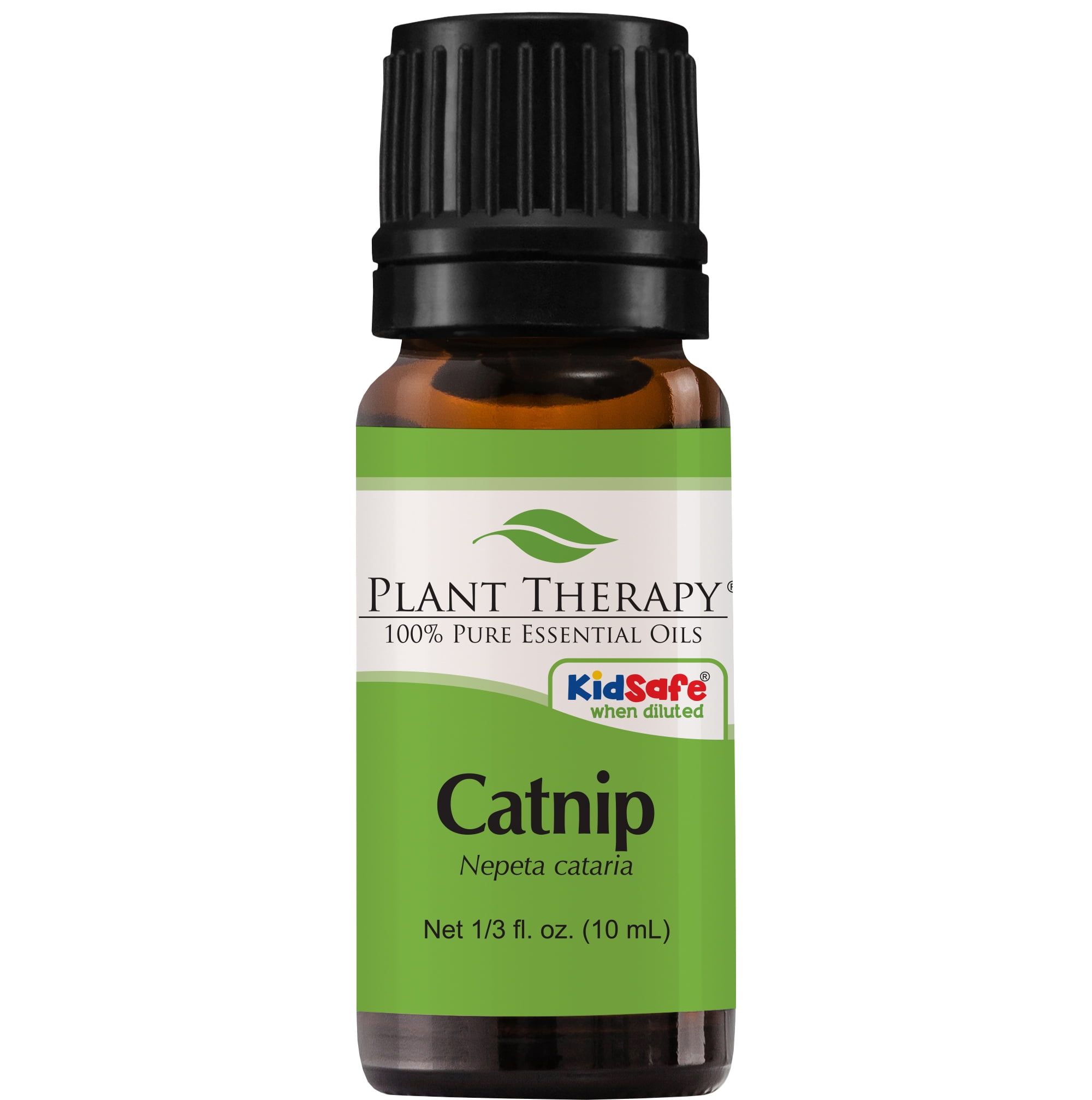 Plant Therapy Catnip Essential Oil 100 Pure, Undiluted, Natural Aromatherapy, Therapeutic